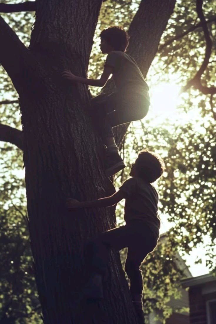 Children climbing a tree at golden hour